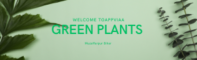GREEN PLANTS